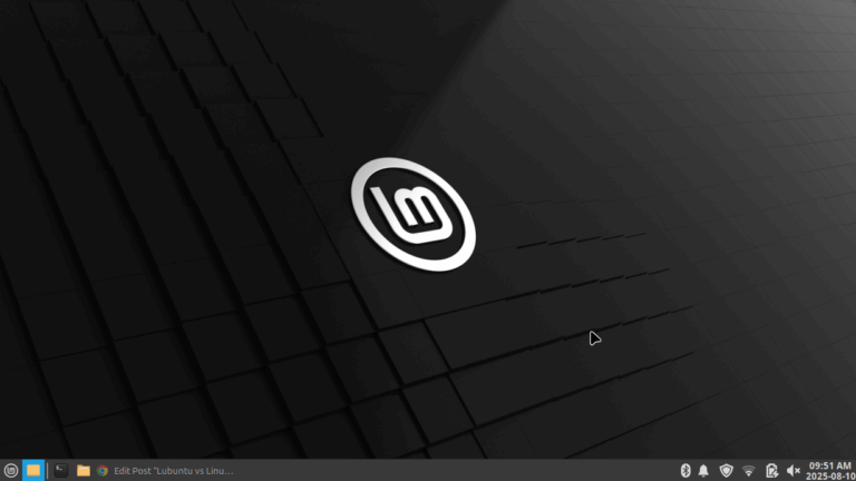 Linux-Mint.png